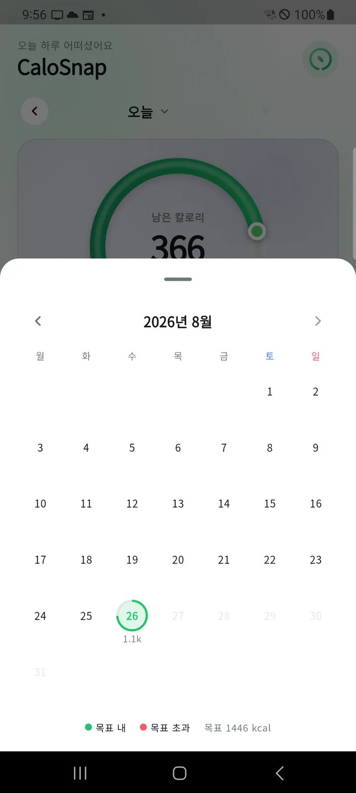 달력 화면 — 날짜별 섭취량 링