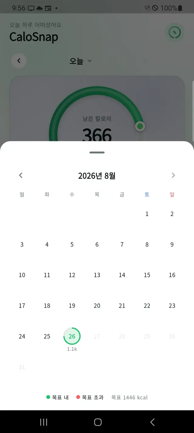 달력 화면 — 날짜별 섭취량 링
